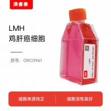 LMH（鸡肝癌细胞）