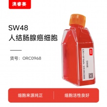 SW48;人结肠腺癌细胞
