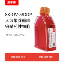 人卵巢腺癌顺铂耐药性细胞;SK-OV-3/DDP