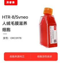 人绒毛膜滋养细胞；HTR-8/Svneo
