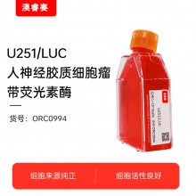 人神经胶质细胞瘤细胞带荧光素酶;U251-LUC