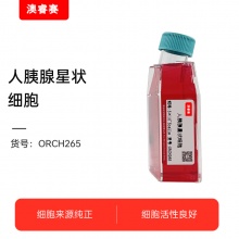 人胰腺星状细胞