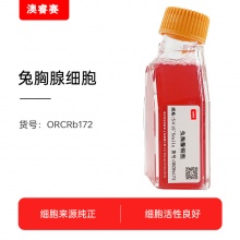 兔胸腺细胞