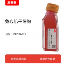 兔心肌干细胞