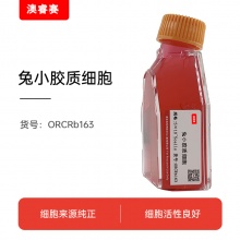 兔小胶质细胞