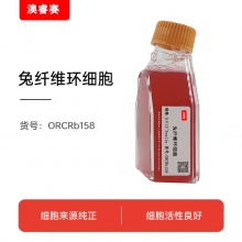 兔纤维环细胞