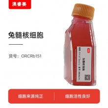 兔髓核细胞