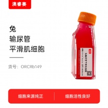 兔输尿管平滑肌细胞