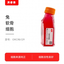 兔软骨细胞