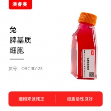 兔脾基质细胞