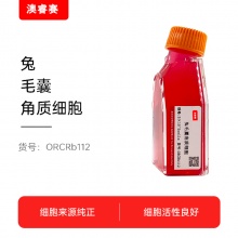 兔毛囊角质细胞