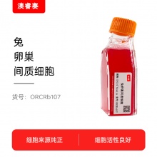 兔卵巢间质细胞