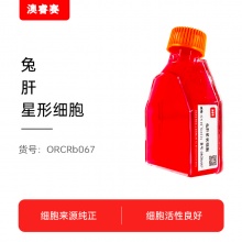 兔肝星状细胞