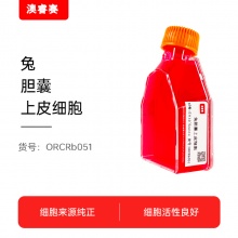 兔胆囊上皮细胞
