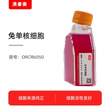 兔单核细胞