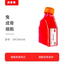 兔成骨细胞