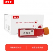 MH-S 小鼠肺泡巨噬细胞