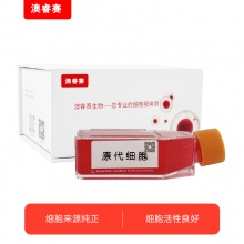 小鼠心脏微血管内皮细胞