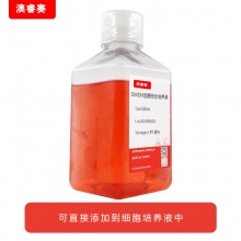 DMEM低糖完全培养基（含10%FBS）