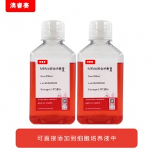 MEM&alpha;完全培养基（不含核苷，含10%FBS）