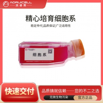 MCF-7-LUC-GFP-Puro（双标记的人乳腺癌细胞）