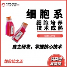 pac2斑马鱼胚胎成纤维细胞