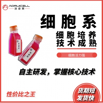 NRK-52E-luc大鼠肾细胞（luc标记）