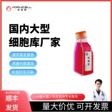 LLC表达mcherry的LLC稳转细胞株
