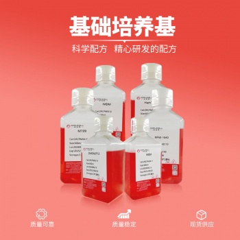 小鼠表皮黑色素细胞完全培养基