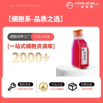 T98G人脑胶质细胞
