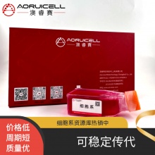 NCI-H1581人非小细胞肺癌细胞