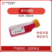 人骨髓间充质干细胞永生化