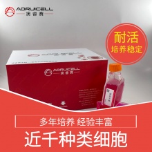 小鼠胰腺肿瘤成纤维细胞永生化