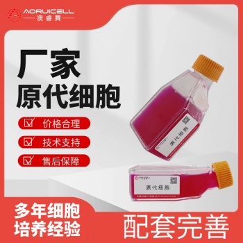 人原代黑色素细胞