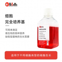 大鼠少突胶质细胞专用培养基