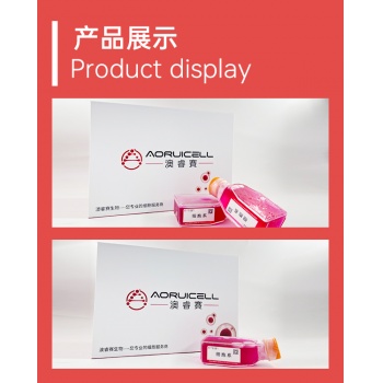 人表皮黑色素细胞