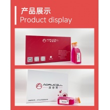 人表皮黑色素细胞