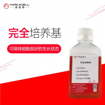 人结肠成纤维细胞专用培养基