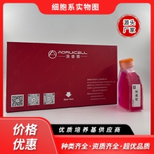 HeLa/DDP（人宫颈癌细胞顺铂耐药株）