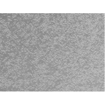 HDLM-2（人霍奇金淋巴瘤细胞）