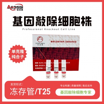 mTet3基因敲除株（AML12细胞）