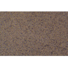 LUVA 细胞， 永生化人肥大细胞系