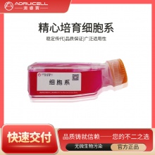 DMS-53-LUC（人小细胞肺癌细胞荧光素酶标记）