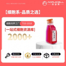 MKN1-LUC-GFP（人胃癌细胞）